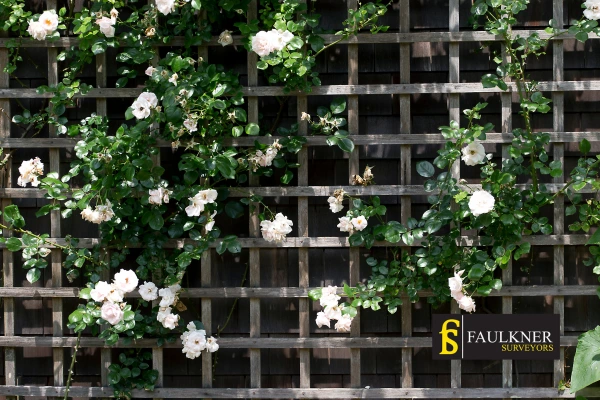 Can I put trellis on my Neighbours garage wall? 2 Do you want to adapt your neighbours garage door and add a trellis Clacton-on-Sea? Talk to Faulkner Surveyor Clacton-on-Sea